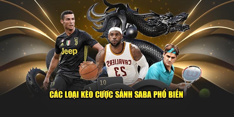 Sảnh Saba 98Win Và Đôi Nét Về Các Môn Thể Thao Tại Đây 4 Các loại kèo cược sảnh Saba phổ biến